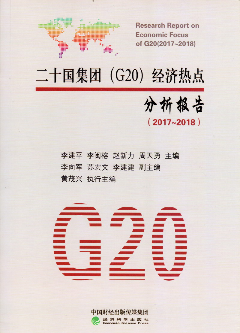 操你逼小电影二十国集团（G20）经济热点分析报告（2017-2018）